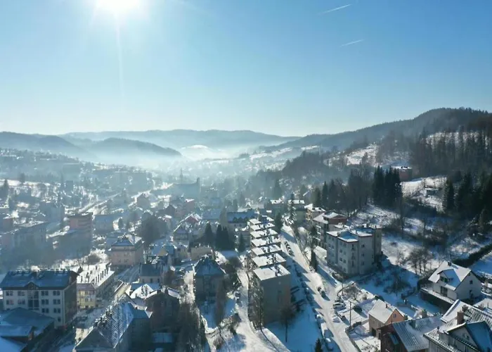 Przy Deptaku Apartment Krynica Zdroj